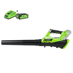 Accu bladblazer 40 Volt + accu 2Ah & lader