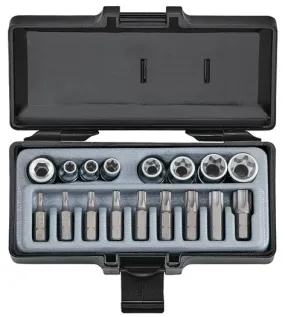 Bit set Resistorx 17 delig
