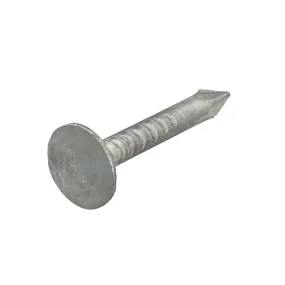 PROFTEC ASFALTNAGEL VZ PK 3.0X25 (1KG)